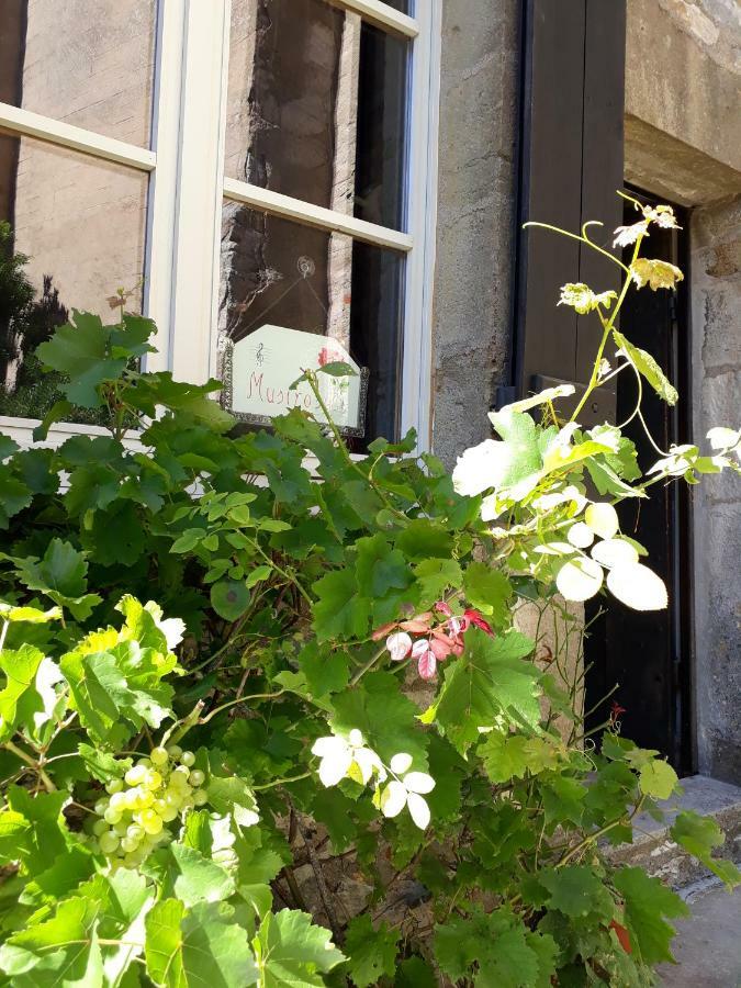 Villa Musirosa Vézelay Exterior foto